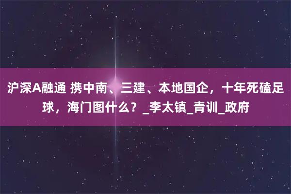 沪深A融通 携中南、三建、本地国企，十年死磕足球，海门图什么？_李太镇_青训_政府